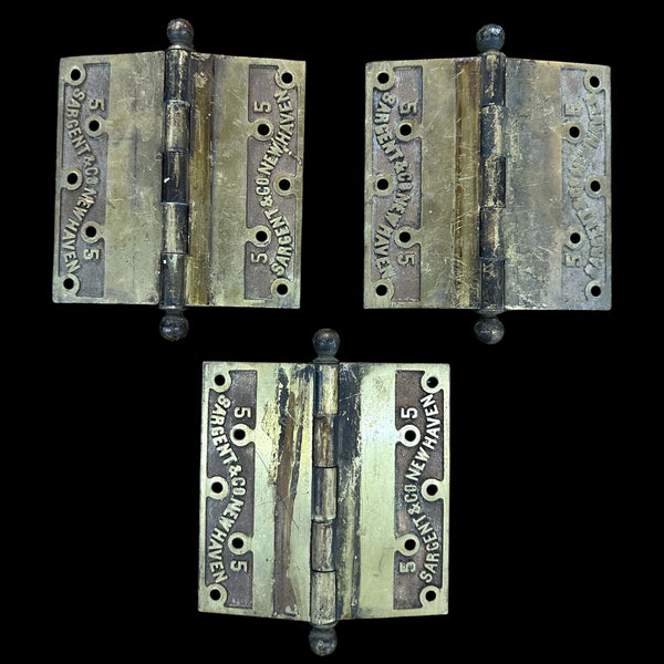 Set of 3 Brass Ball Tip Sargent & Co. Offset Door Hinges GA20224