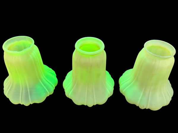 Set of 3 Uranium / Gasoline Glass Shades GA20236