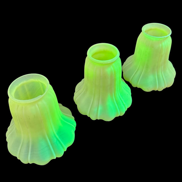 Set of 3 Uranium / Gasoline Glass Shades GA20236