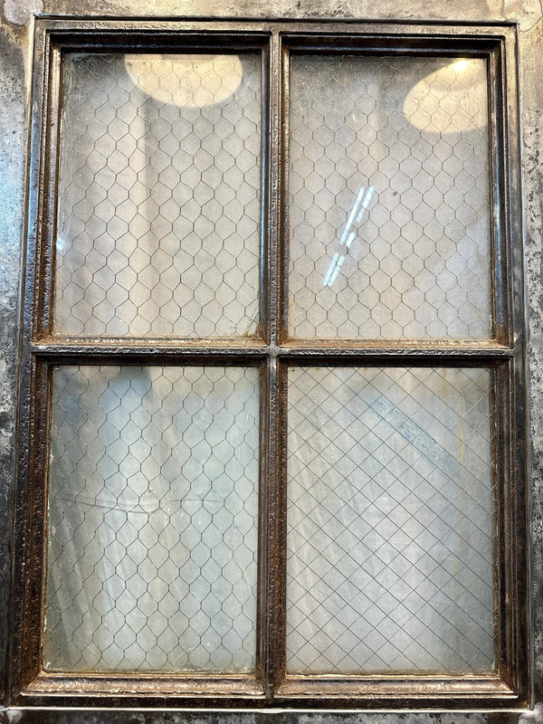 4-Pane 1-Panel Galvanized Steel Double Doors w/ Chicken Wire Glass GA20571