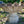 Load image into Gallery viewer, Concrete Fountain w/ Raised Centerpiece GA20350
