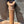 Load image into Gallery viewer, Cast Iron Newel Posts (5 Available) GA21636
