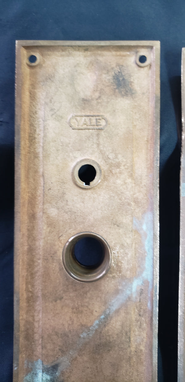 1913 Woolworth Building N.Y. Solid Bronze Door Backplates w/ Thumb Turn GS010938