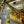 Load image into Gallery viewer, Restored Antique Brass Pan 4-Arm Chandelier GA21007

