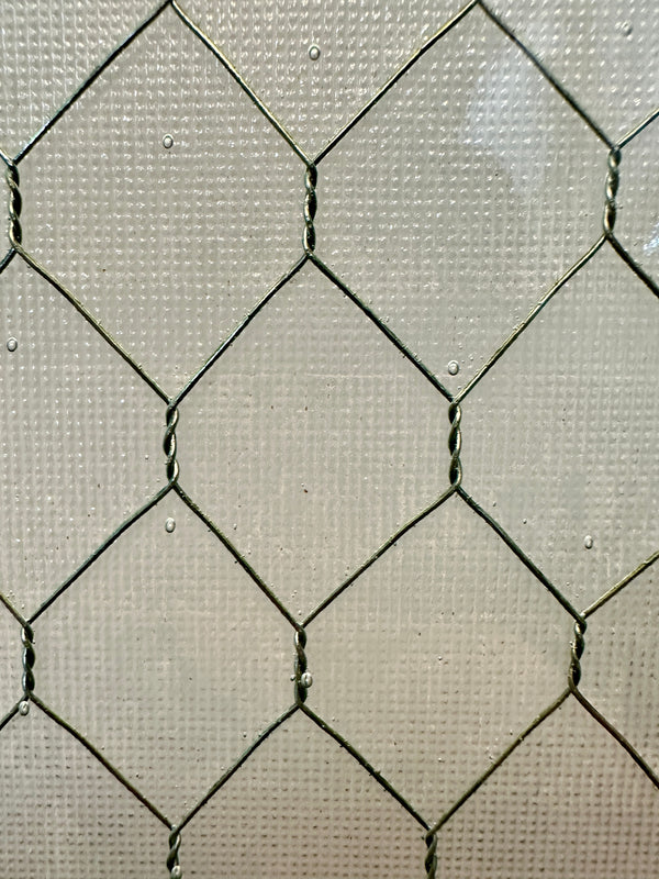 1-Pane Steel Door w/ Chicken Wire Glass & Push Bar GA20551