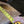 Load image into Gallery viewer, NOS Set of 4 PermaCast &quot;Temple of the Winds&quot; Column Capitals GA20223
