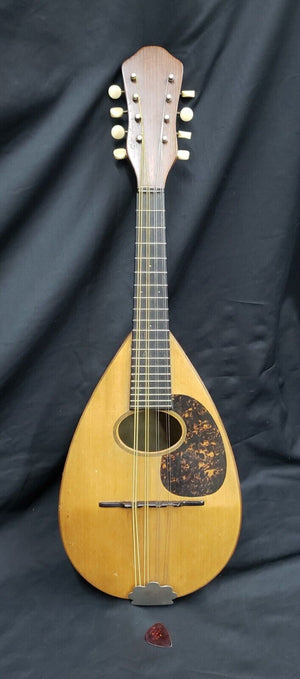 1916 C.F. Martin Bowl Back Mandolin in Mint Condition GS00713
