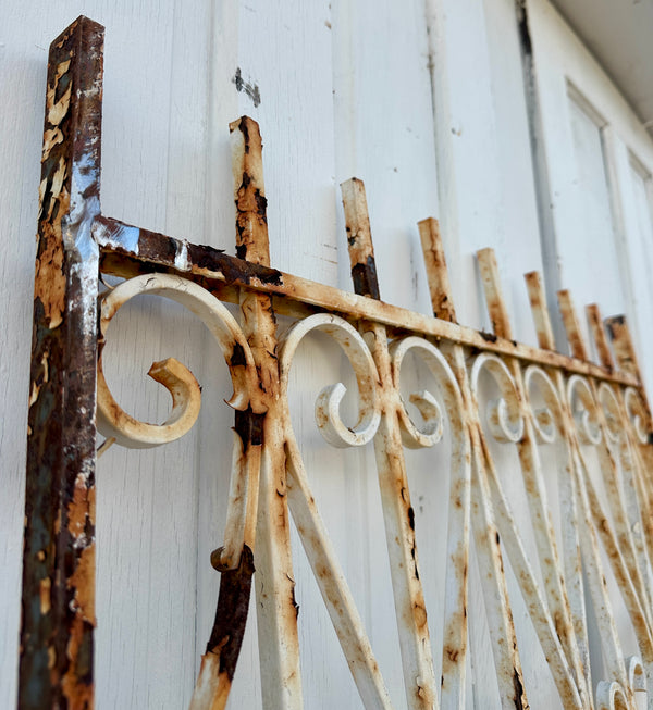 Antique Iron Gate Panel w/ Scrollwork GA20505