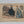 Load image into Gallery viewer, Eleven European Multicolored Fashion Plate Illustrations from 1800's GS01083
