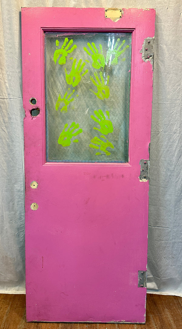1-Pane Steel & Chicken Wire Glass Door GA20564