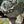 Load image into Gallery viewer, Tall Ornate Concrete Planter GA20351
