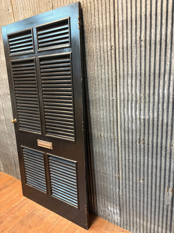 Storm Door with Screens and Shutters GA21359