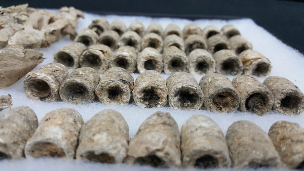 40 CW 3 Ring Bullets Dug at Battle of Deep Bottom in White Oak Swamp VA GS00717