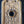 Load image into Gallery viewer, Restored Ornate Victorian Solid Brass Doorknob Backplate GA291
