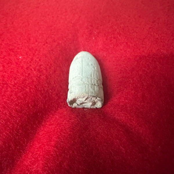 VERY RARE Confederate Gardiner Exploding Bullet GA20542