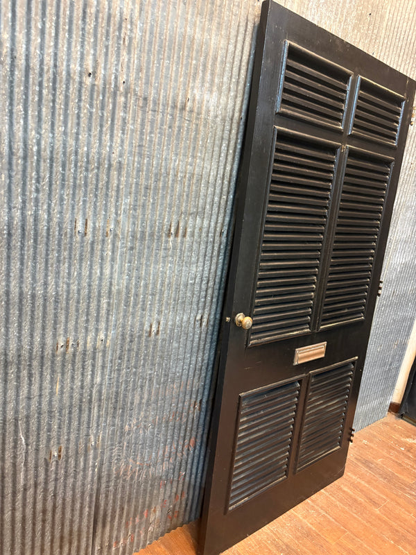 Storm Door with Screens and Shutters GA21359