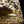 Load image into Gallery viewer, Antique 19th Century Gilt Wood Framed Mirror w/ Beveled Glass GA20851
