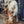 Load image into Gallery viewer, Cast Iron Custom Made Man &amp; Woman Trojan Soldiers on Pedestals GS00747
