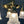 Load image into Gallery viewer, Restored Antique Brass Pan 4-Arm Chandelier GA21007
