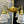 Load image into Gallery viewer, Restored Antique Brass Pan 4-Arm Chandelier GA21007
