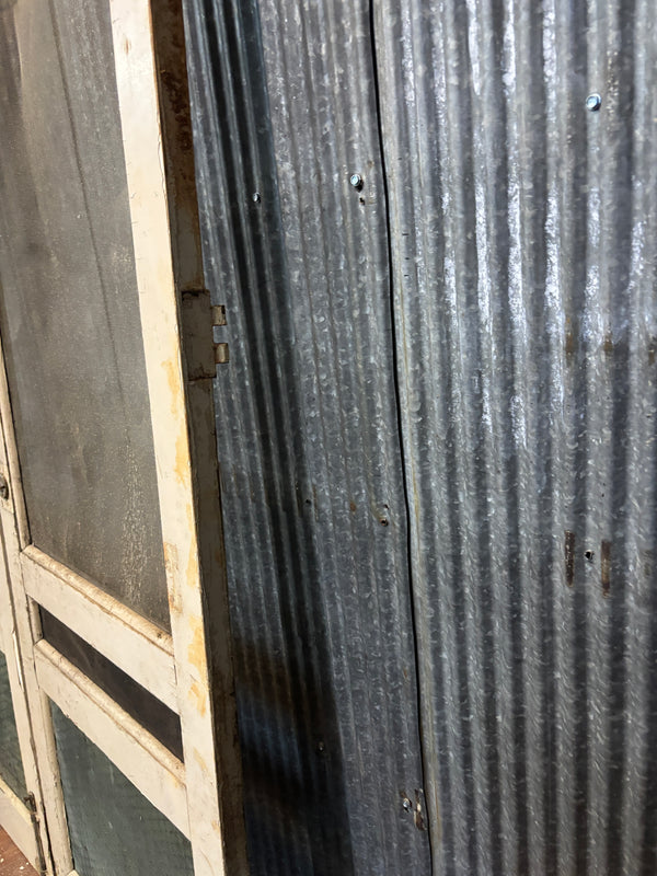 Pair of Storm Doors GA21169