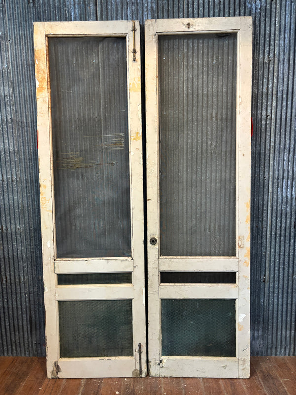 Pair of Storm Doors GA21169