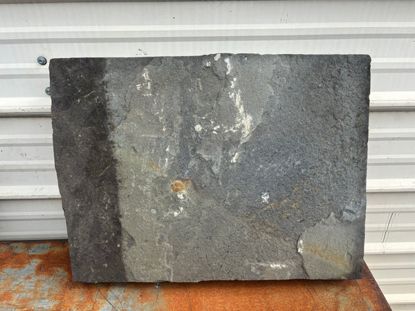 Gray Slate GA21398