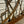 Load image into Gallery viewer, Vintage Shaw Piano Co. Cast Iron Piano Harp GA20934
