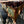 Load image into Gallery viewer, Salvaged Rolling Steel Factory Bins GA20369
