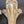 Load image into Gallery viewer, 4 Tall Brass Art Nouveau Curtain Drapery Tie Backs 10 1/2&quot; x 3 1/2&quot; GS00644
