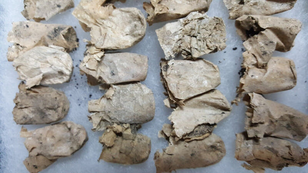 40 CW 3 Ring Bullets Dug at Battle of Deep Bottom in White Oak Swamp VA GS00717
