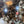 Load image into Gallery viewer, Victorian Bronze and Glass 32 Light Ornate Chandelier GS011023
