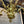 Load image into Gallery viewer, 5-Light Solid Brass Chandelier GA21360
