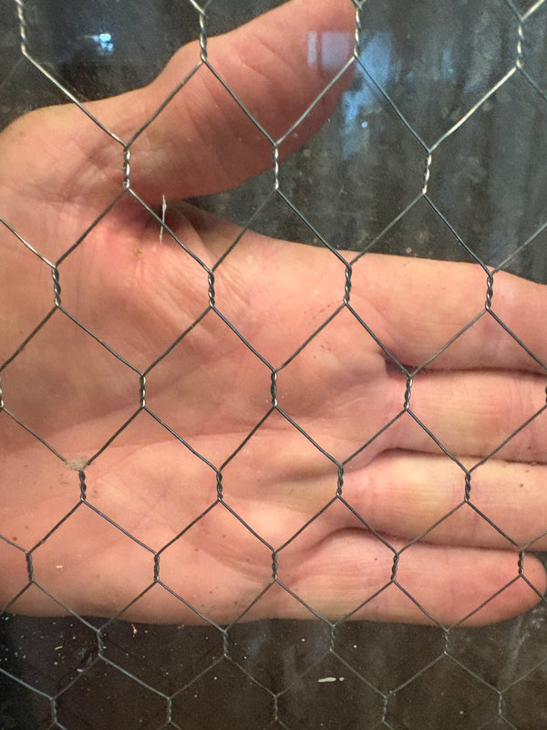 3-Panel Chicken Wire Glass Door GS6100