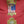 Load image into Gallery viewer, 1900&#39;s 2 Sided Embroidered Dept. of Virginia United Spanish War Veterans Flag GS00710
