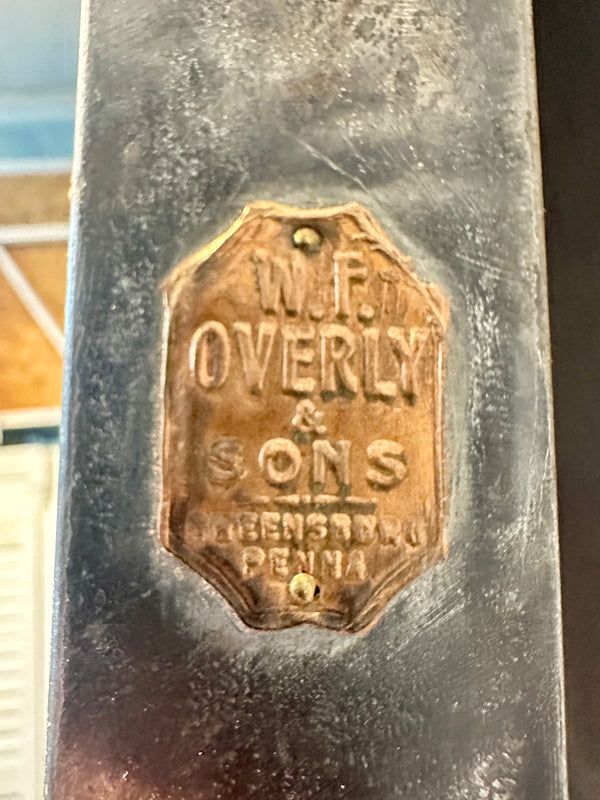 W.F. Overly & Sons 9-Pane 1-Panel Galvanized Steel Door GA20559