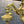 Load image into Gallery viewer, 5-Light Solid Brass Chandelier GA21360
