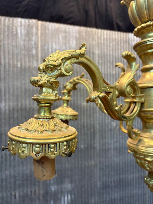 5-Light Solid Brass Chandelier GA21360