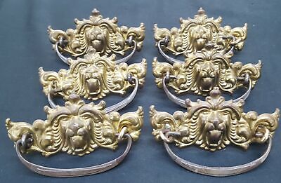 Set of 6 Brass Ornate Lion's Mane Drawer Pulls 4 1/2" x 2 1/4" GS00792