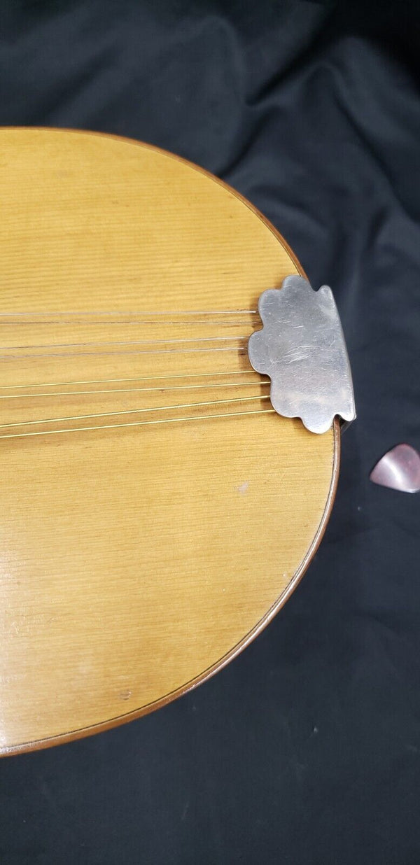 1916 C.F. Martin Bowl Back Mandolin in Mint Condition GS00713