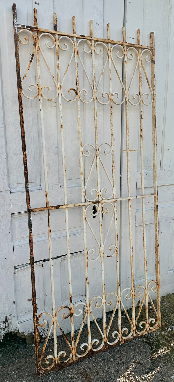 Antique Iron Gate Panel w/ Scrollwork GA20505