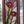 Load image into Gallery viewer, Arch Top Stained Glass Window with Multi Colored Floral Design in Red Oak Frame #GA2265
