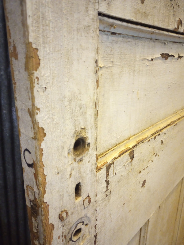 Wide Solid Wood Six Vertical Panel Interior Door 40" x 81 1/2" #GA-S025